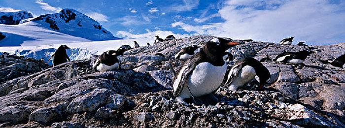 无主之地4真会玩！成都郑州北京彩蛋接连整活，上海BW终极一“蛋”又会是啥！